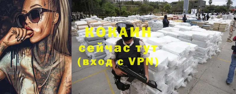 Cocaine Эквадор  где купить наркоту  mega рабочий сайт  Моздок 